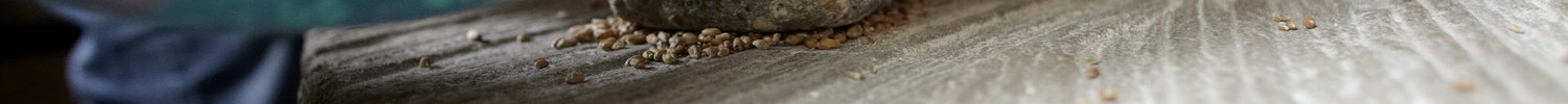 Ein Kind vermahlt Getreidekörner mit einem Stein auf einem alten Mahlstein