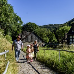2 Erwachsene mit 2 Kindern kommen einen Weg hinauf zu beiden Seite wäschst eine sehr hohe Wiese. Im Hintergrund ist ein Haus zu sehen.