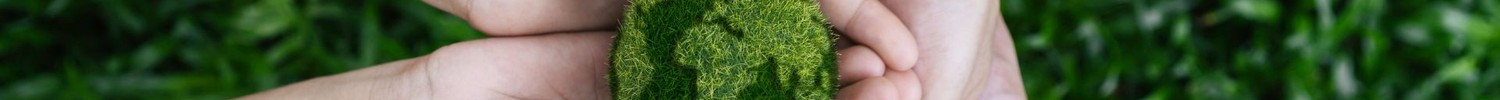Hände halten eine Erde aus Moos