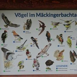 verschiedne Vögel auf einer Hinweistafel