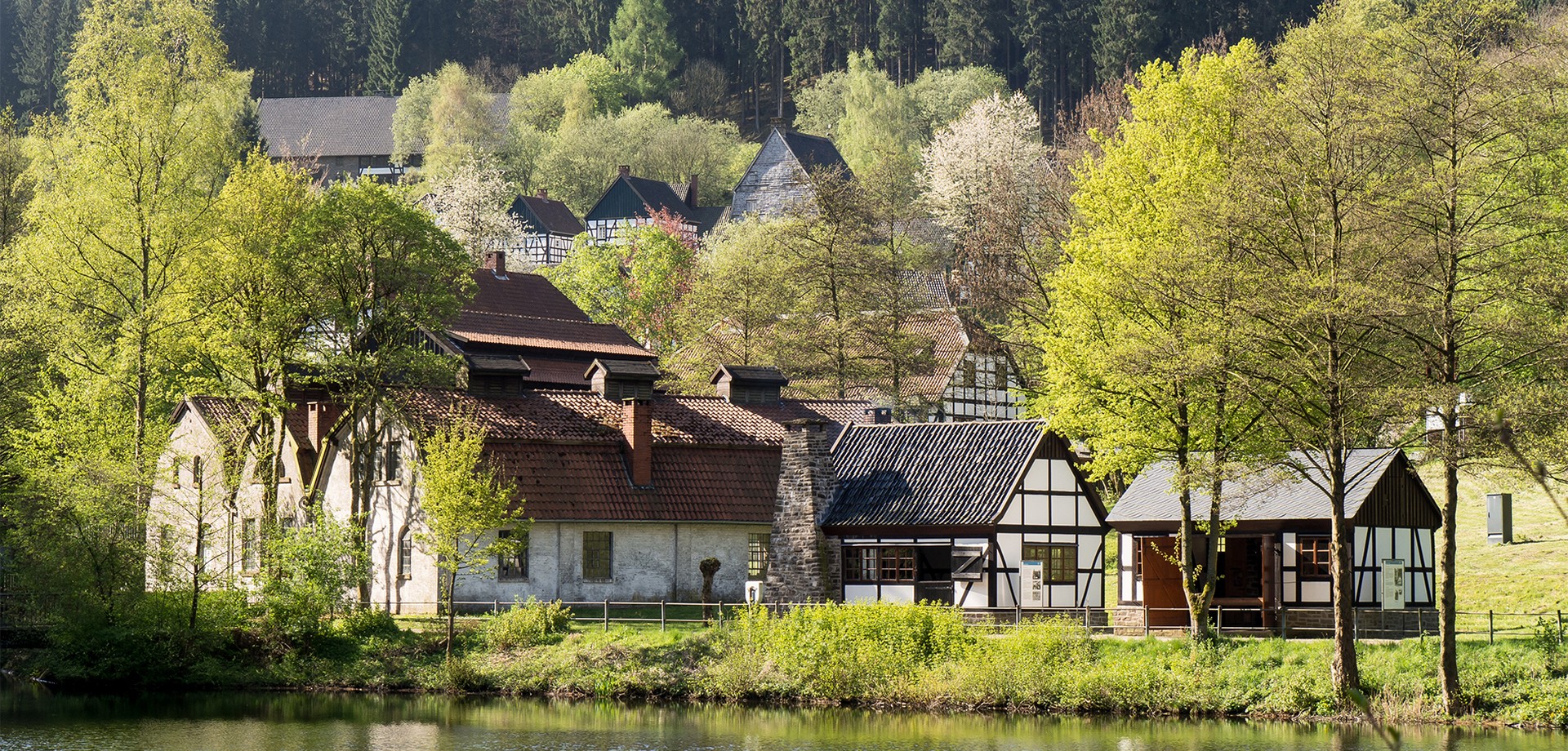 Frühling am Sensenhammerteich