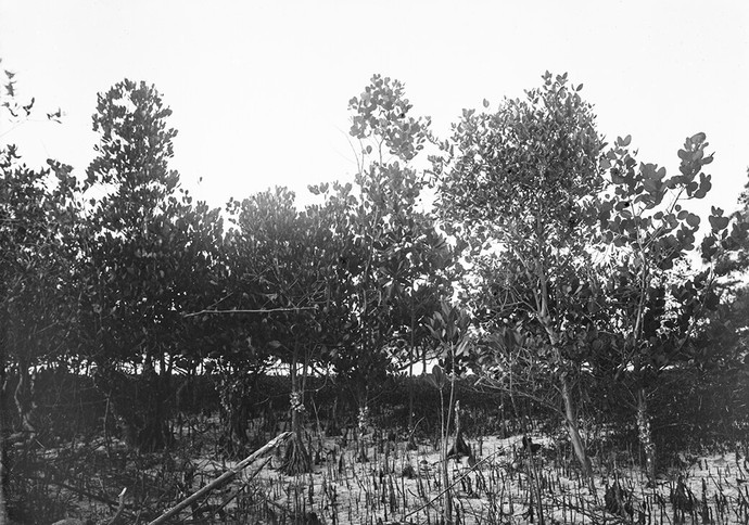 Der Geograf Carl Uhlig (1872 – 1938)