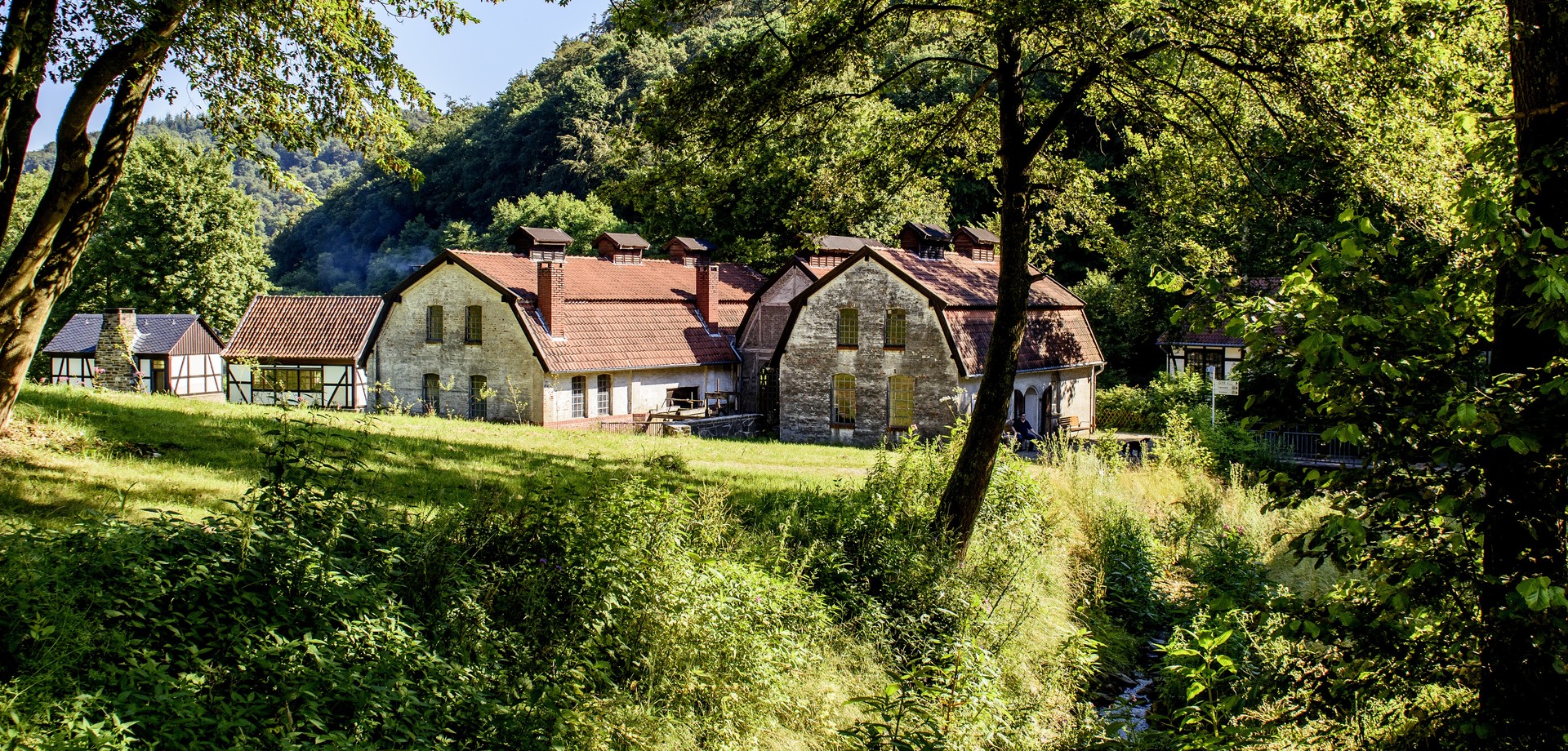 Historische Häuser umgeben von Wald und Wiese