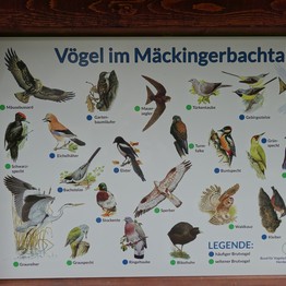 Eine Bildtafel mit Vögeln