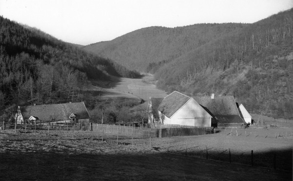 um 1961 Mäckingerbachtal