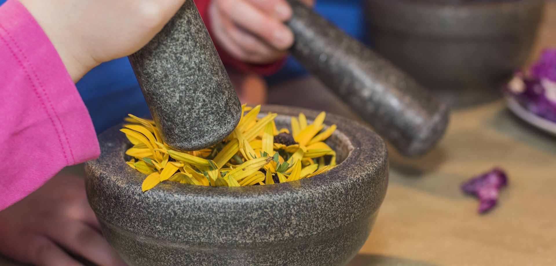 Kinder mörsern gelbe Blüten und Rotkohl